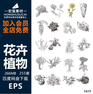素描植物手绘线稿草本花卉线描水仙菊化妆品包装EPS矢量设计素材-宏弧素材